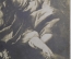 Открытка старинная "Две девушки", ню, чистая, до 1917 года. Эротика.