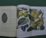 Книга В.П. Мичурин "Избранные сочинения", СССР, 1948 год.